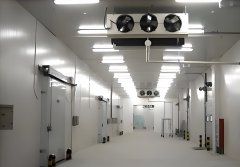 中翰国智食品（山东）有限公司